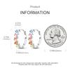Classic Earrings 925 Silver Colorful CZ Hoop Earrings for Women Birthday Party Wedding Engagemen Gift Jewelry