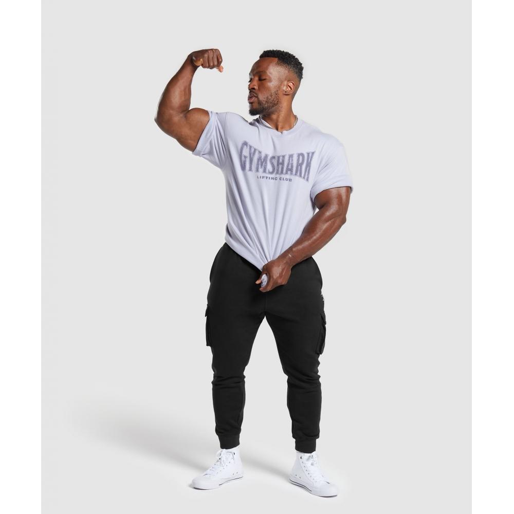 Gymshark Heritage Washed Short Sleeve Crew Silver Lilac A4a8d Pbyv