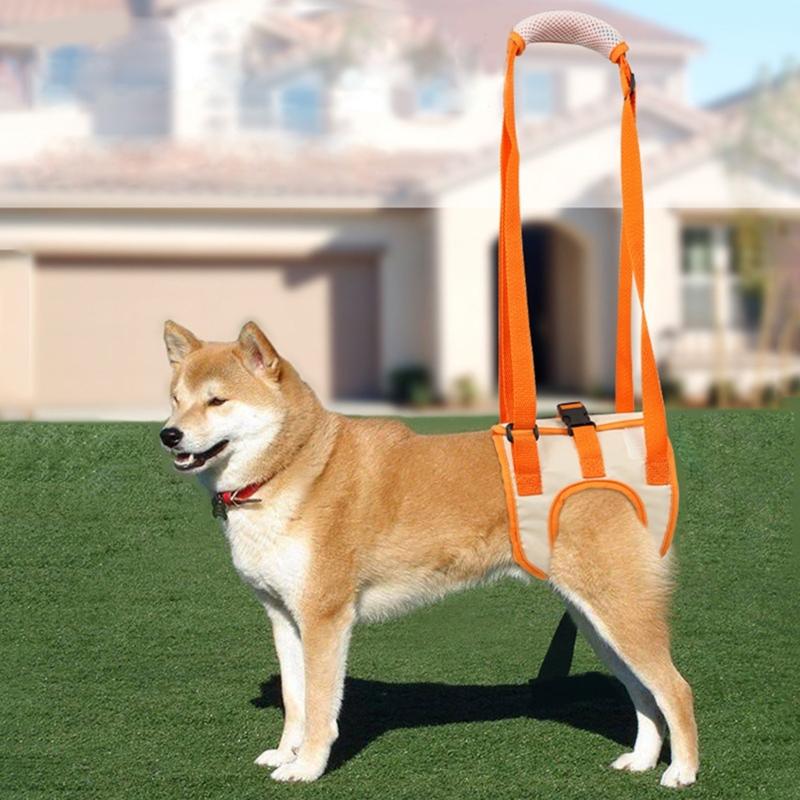 Dog Leg Harness Pet Support Sling Hind Leg Assistance Belt Oxford Cloth and Mesh Cloth Material Dog Lift Harness