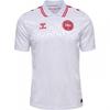 Hummel Mens 24/25 Denmark Away Jersey