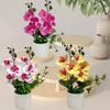 Multicolor Butterfly Orchid Artificial Flower 6 Blooms Faux Moth Orchid Potted  Desktop Oranemnt