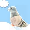 20cm Kawaii Simulated Gray Pigeon Plush Toy Cute Soft Stuffed Animals Plush Dove Bird Doll Collection Model Gifts Home Décor