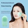 Silicone Face Ice Cube Mold For Beauty And Skin Care Silicon Face Ice Roller With Cleansing Brush