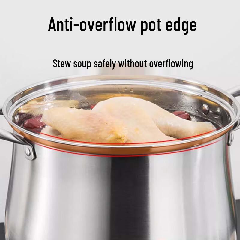 Sule Stainless Steel Stockpot with Steamer