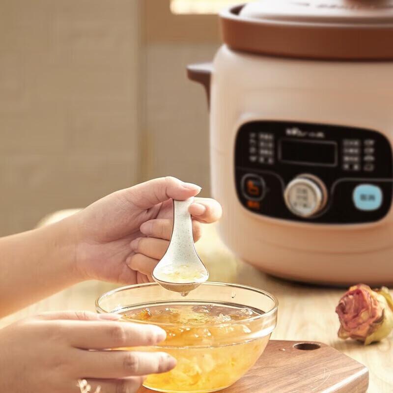 BEAR 4L Electric Purple Clay Stew Pot CN Plug (adapter Included)