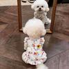 Sun Protection Lace Off-Shoulder Dress Thin Dog Princes Dress Flower Print  Princess Skirt Anti-Static Puffy Skirt Small D...