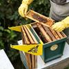 Beehive Frame Holder, Bee Hive Stand, Metal Beehive Frame Perch, Beekeeping Beehive Inspection Bracket, Bee Hives Boxes Starter Kit for Beekeeping