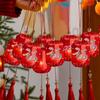 Horse Year 2026 New Year Lanterns Handmade Portable Lanterns Chinese Hanging Lanterns  Party Decor