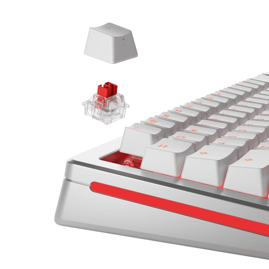 Glorious Fox HE Switches Standard Retail KB0885 - - GLO-KB-ACC-SWT-FOX-HE-36