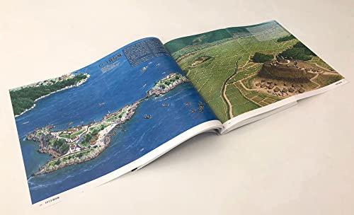 Wide & Panoramic Bird's-Eye View & Reconstruction Illustrations of Japanese Castles