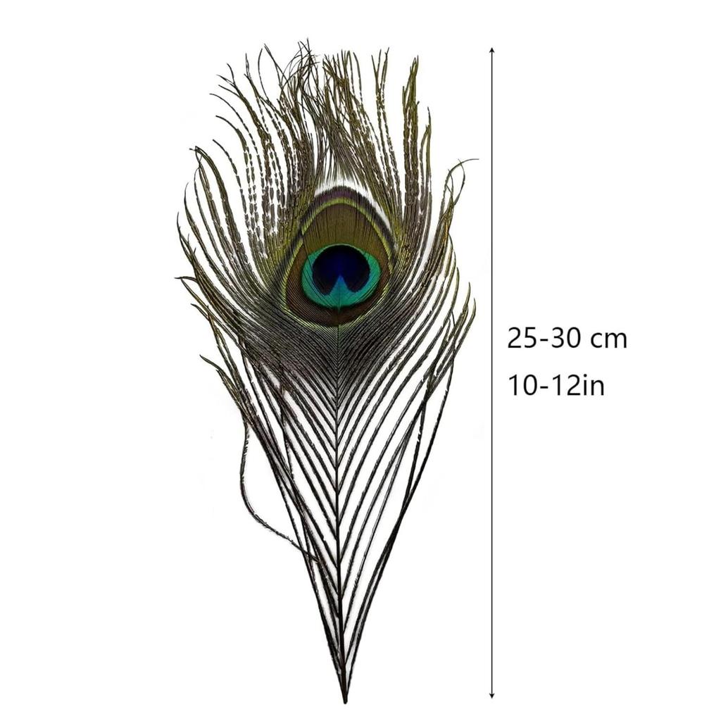 Tdas 15 Pcs Real Peacock Feather Original Feathers morpankh for Craft Floral Flowers Items