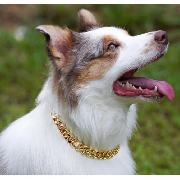 Dog Chain Collar Gold Durable Light Metal Dog Gold Cuban Link Cute Fashion Jewelry Accessories for Dogs (19MM)(12)