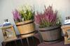 Round flowerpot, light gray wood imitation, 40 cm Madera