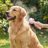 Professional Pet Grooming Comb With Sprays Function For Deshedding Massage And Mists Easy Mists Feature