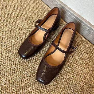 Soft Leather Version Retro Mary Jane Shoes Women's 2025 Spring French Square Head Thick Heel Light Mouth Single Shoes with Skirt Small Leather Shoes