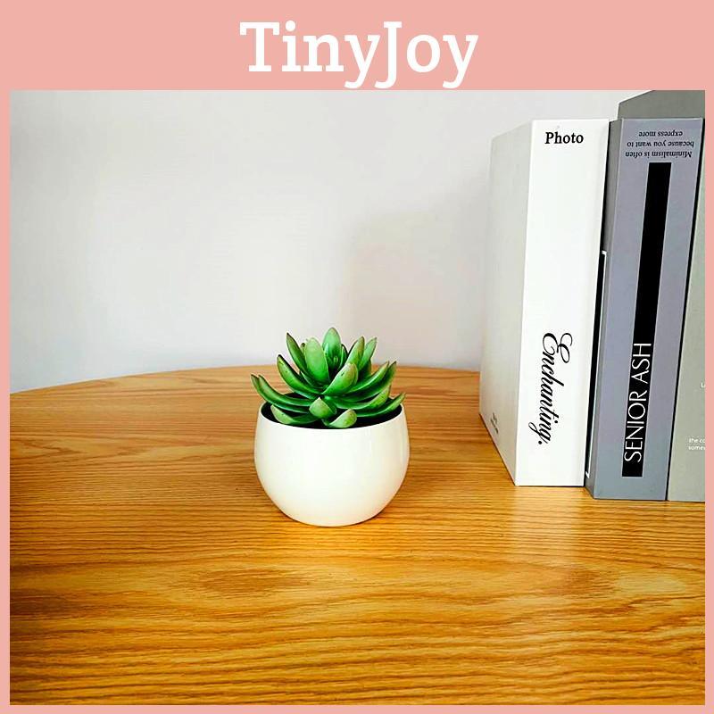 Artificial Succulent Plant Container With Injection Molded Pvc For Living Room Decoration