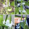 500/50PCS Plant Support Clips Reusable Plastic Connects Vine Fixing Clip Tomato Grape Vegetable Plants Holder Buckle Garden Tool