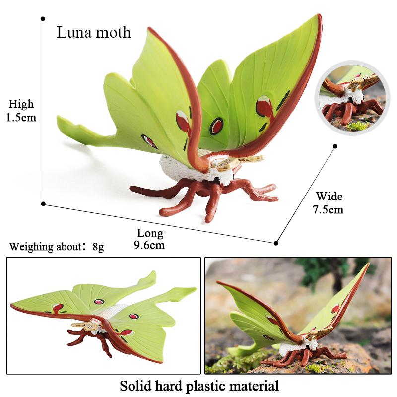 Oenux Insect Animals Model Monarch Actias Ningpoana Swallowtail Butterfly Growth Cycle Garden Figurine Education Kid Toy Gift