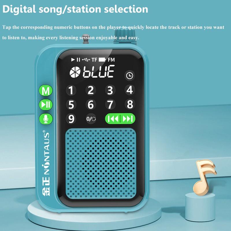 5W Portable FM Radio Wireless Bluetooth Speaker TF Card U Disk Music MP3 Player