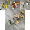 Long Stem 6 Head Daisy Silk Flower For Photography Props And Events