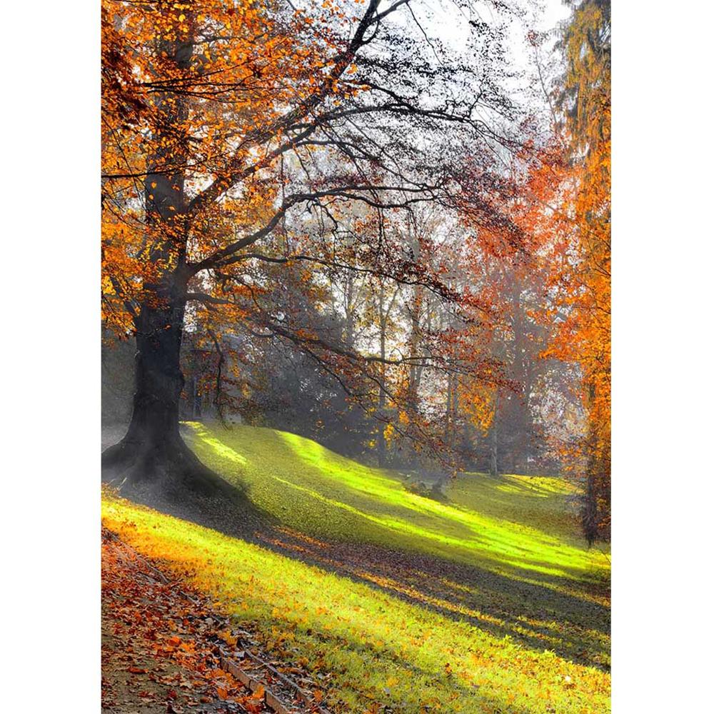 Yellow Leaves Forest Vinyl Photographic Backgrounds Backdrops  Photocall for Wedding Baby Children Photo Studio Photophone