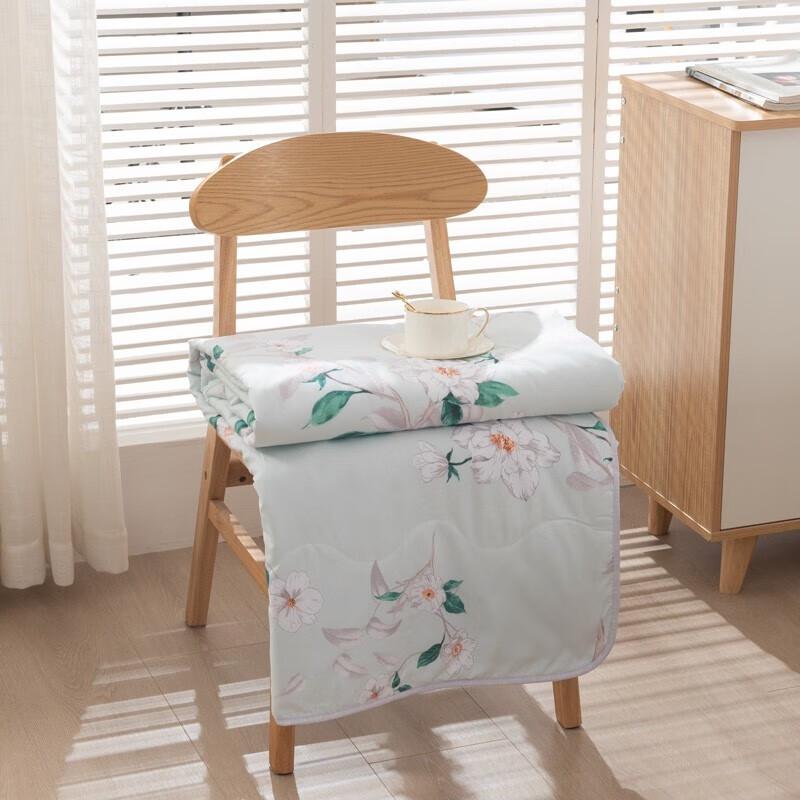 Duohuxi Washable Velvet Summer Quilt