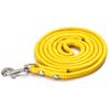 Pet Products Round Colorful PU Rolled Dog Walking Leashes for Small Medium Breeds Dogs Puppy Chain Lead Training Walking Leash