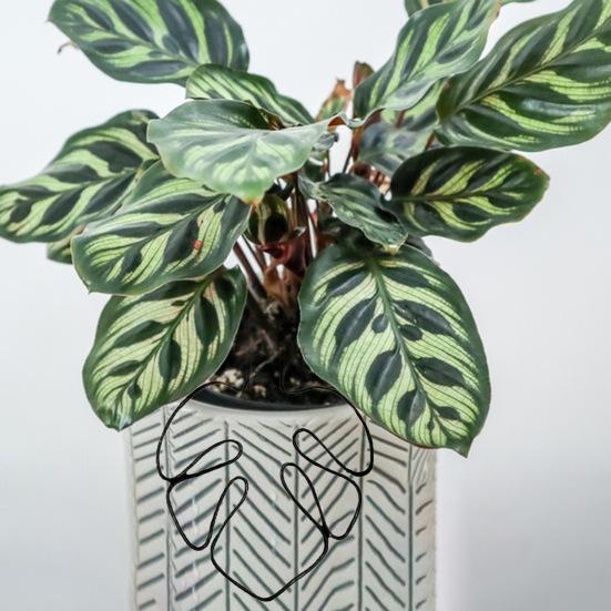 Stojan na rostliny ve tvaru monstery, odolný proti korozi, jednoduchá instalace, podpěra pro květináče, kůl ve tvaru květiny