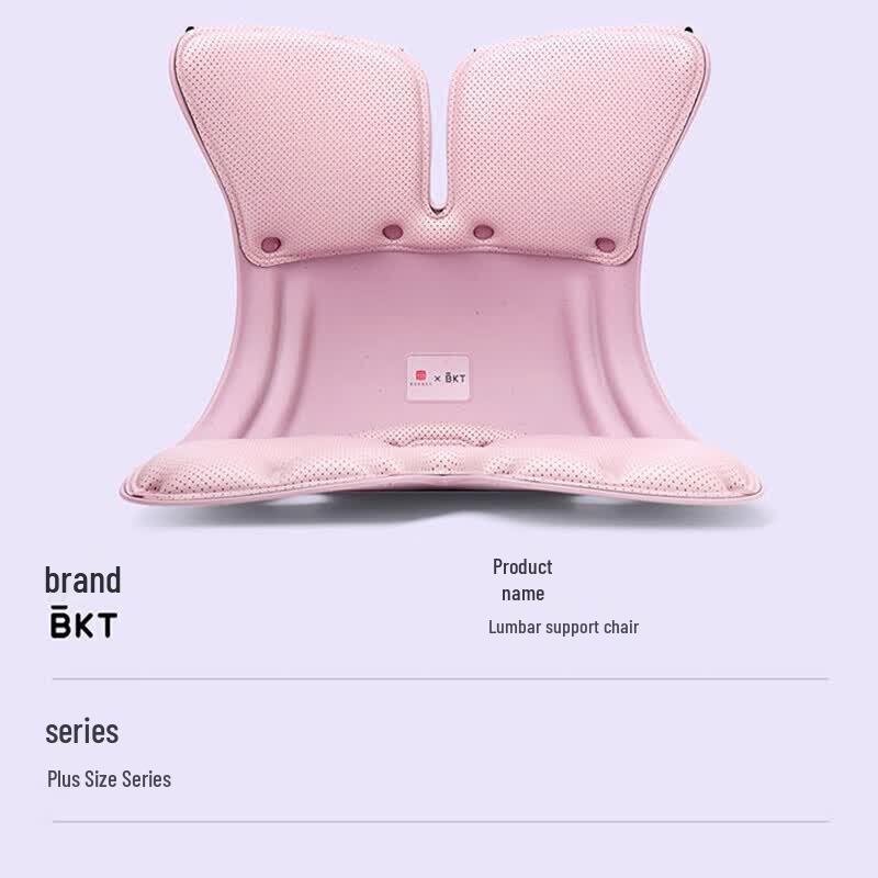 BKT Ergonomisches Lendenstützkissen