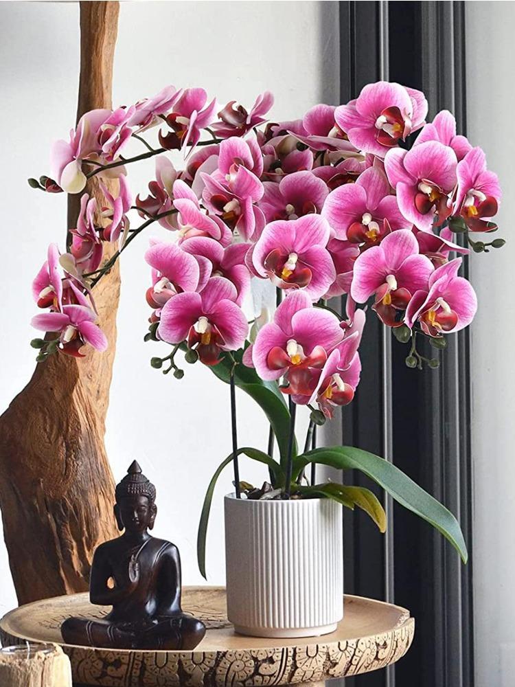 Orchidea Artificiale Phalaenopsis In Vaso Ceramica Bianca - Pianta Finta In Seta Per Decorazione Casa, Regalo (Altezza 47 Cm)