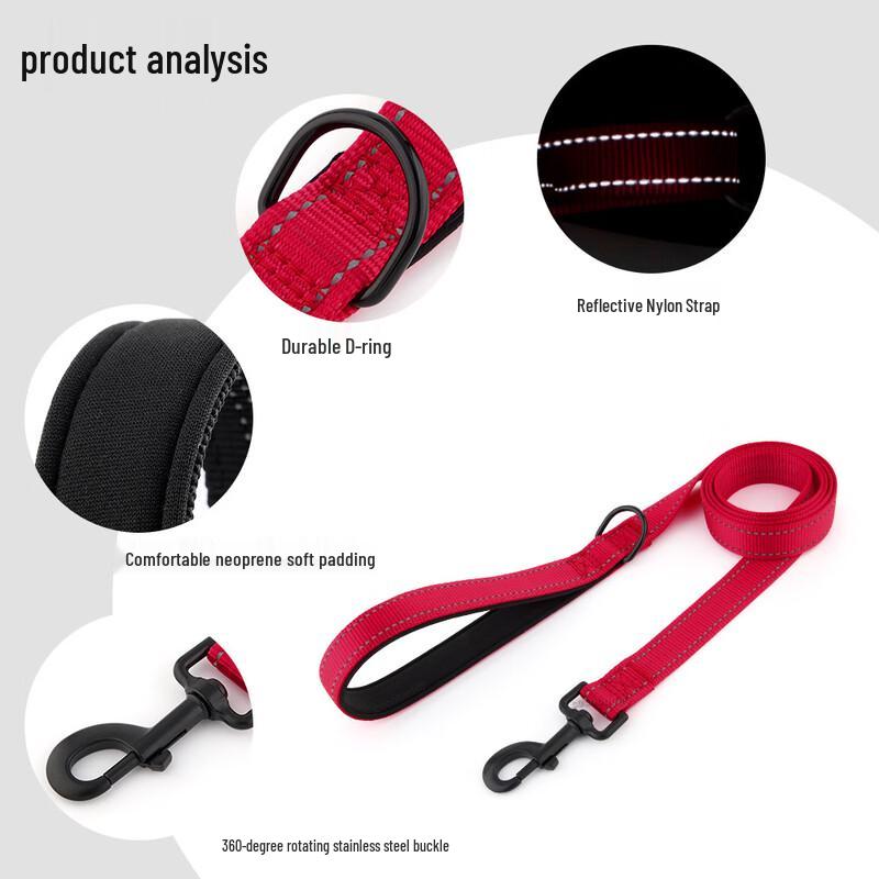 TLXT Reflective Nylon Dog Leash