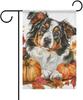 Fall Australian Shepherd Dog Garden Ag Double Sided 12x18 Pumpkins Maple Leaves Garden Yard House Ags Outdoor Seasonal H EEL