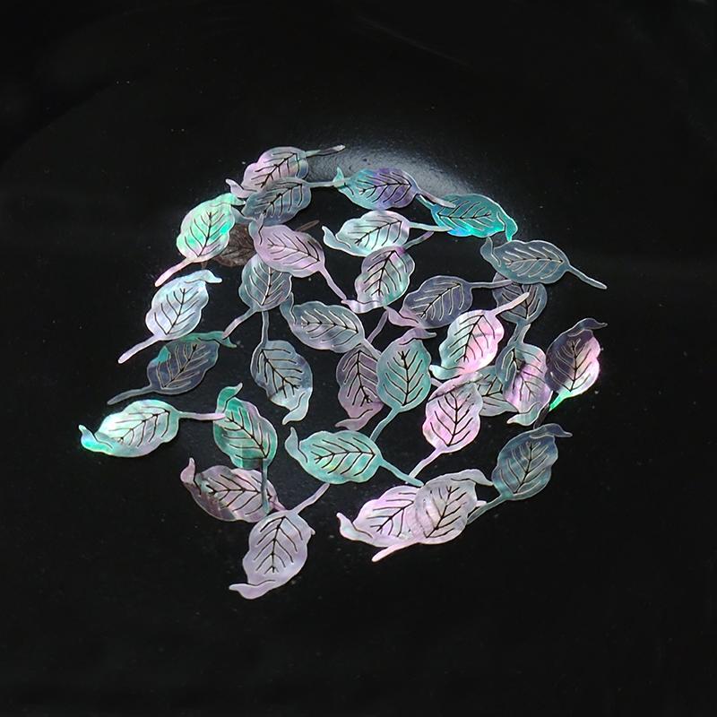 Multiple Natural Shell Mother of Pearl Conch Coquillage Beach Decor Craft Different Patterns Handmade DIY Material Marine Style