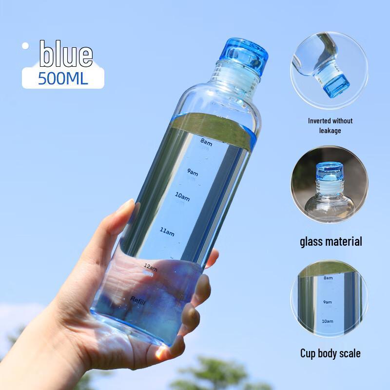 Portable High Borosilicate Glass Water Bottle