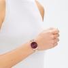 Calvin Klein 2023 Watch 25200169 Gold Women's
