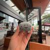 Cute Korean Version Jeju Island Orange Plush Keychain Smile Orange Fruit And Small Stone Doll Pendant Girl Daily Gift