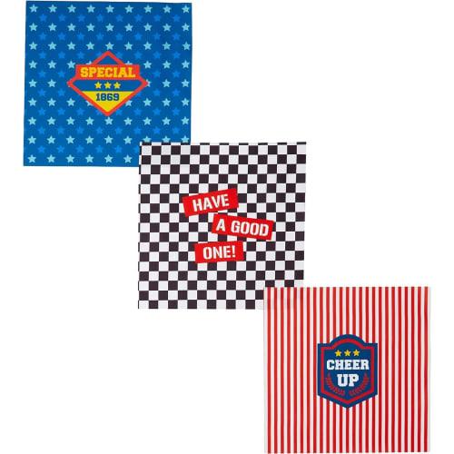 Marushin Piccolino Handkerchiefs, 3-Piece Set (2-Piece Set), Multi-Style, Perfect for Preschool, Kindergarten, and Elementary School, Suitable for Boy