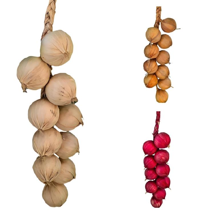 Kunstmatige Knoflook Ui Realistische Knoflook Ui Groente Keuken Decoratie voor Decoratie Mand Display Fotografie