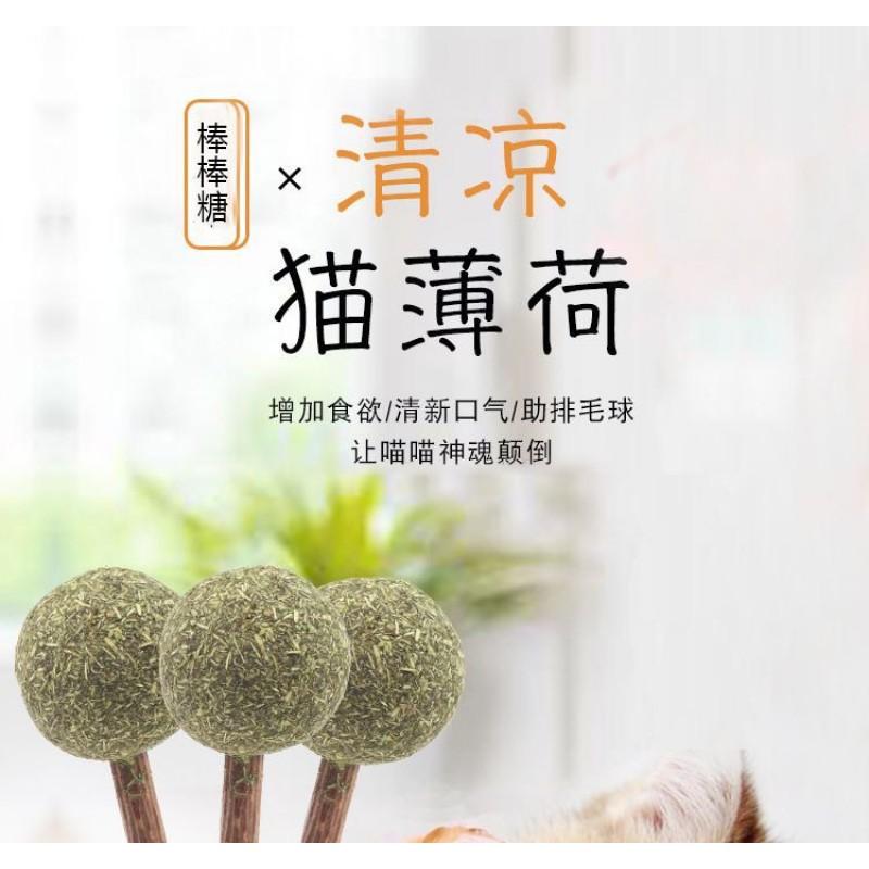 Catnip Stick Toy Cats - Natural Wood Mint Dental Chew Teeth Cleaning Oral Care