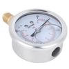 TS PGGZ604 7bar 1 4BSP Y60 Professional Radial Pressure Gauge for Pressure Measurement