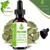 Pure Herbs Cardamom Oil (Elettaria Cardamomum) Pure & Natural Therapeutic Grade Essential Oil Plastic with Dropper