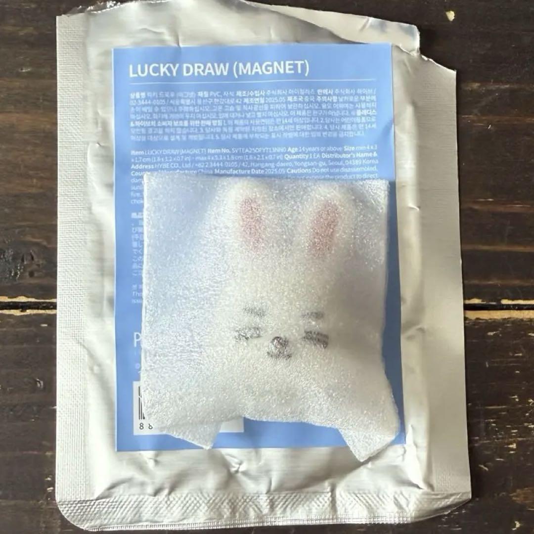 

[USED] Seventeen MINITEEN Magnet S.Coups ChaeCheri