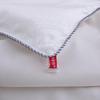 Hengyuanxiang Ice Silk Travel Quilt Set
