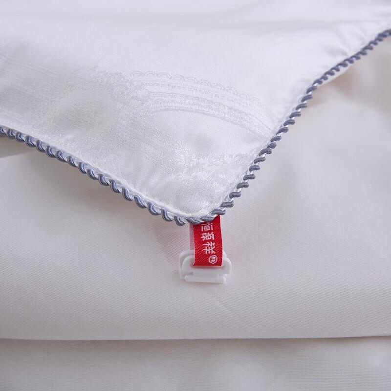 Hengyuanxiang Ice Silk Travel Quilt Set