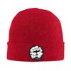 Born To Fly Flight Pilot Aviator Warm Knitted Cap Winter Knit Bonnet Hat Skullies Beanies Hip Hop Caps for Unisex