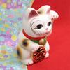Castle Enterprise Lucky Cat Money Box Seto Ware Made In Japan (Left Hand)