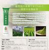 [Organic Green Tea Powder, Shake and Dissolve] Strong, Kagoshima Green Tea Powder with Catechin, Ideal for Cold Tea, My Bottle, Organic JAS