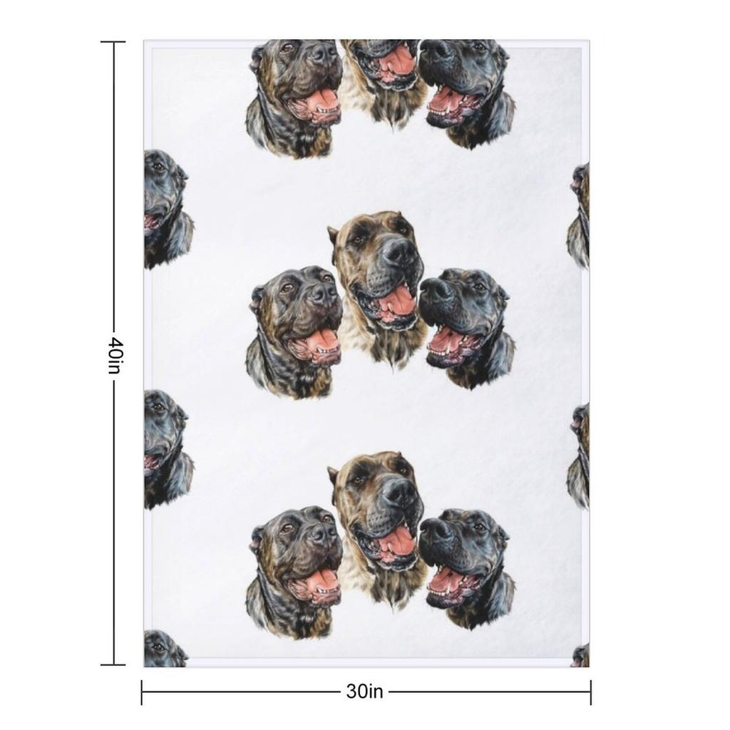 0542(2) Throw Blanket Sofa Throw Designers Warm Blankets and Throws Blankets