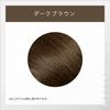 Cielo 1Day Gray Hair Concealer with Bonus Item Hair Partial Dark Brown 9ml Gray Hair Dye Hair Color (Gray Concealer, Dye) Self-Dye