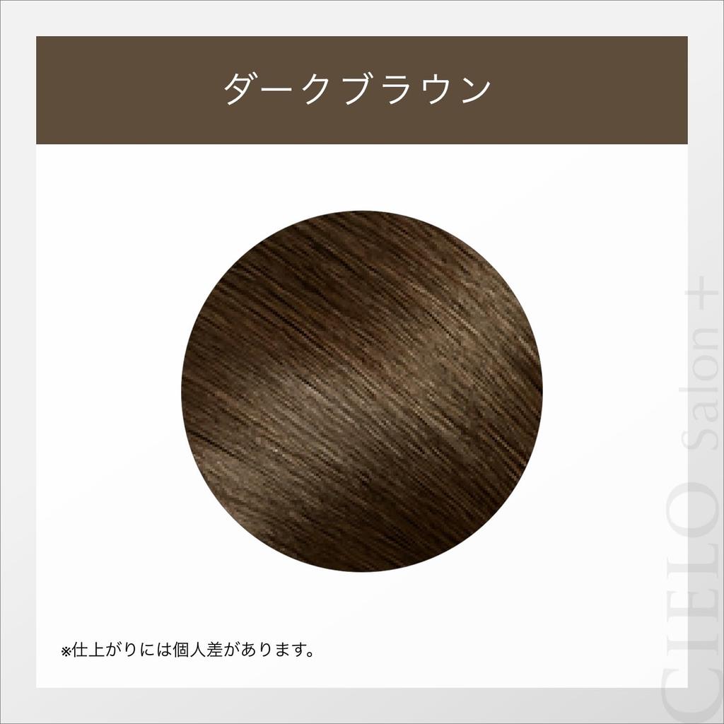 Cielo 1Day Gray Hair Concealer with Bonus Item Hair Partial Dark Brown 9ml Gray Hair Dye Hair Color (Gray Concealer, Dye) Self-Dye